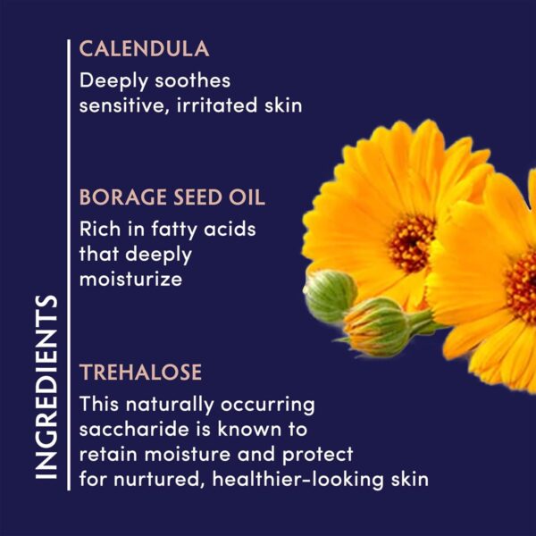 Naturopathica Calendula Essential Hydrating Cream - Soothing Face - Image 3