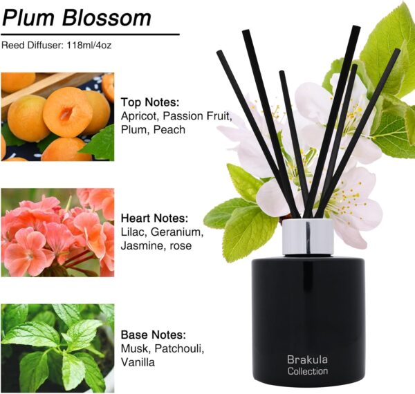 Brakula Reed Diffuser for Home, Elegant Fresh Apricot - Image 4