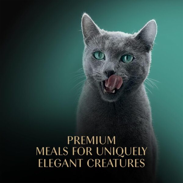 Sheba Perfect Portions Wet Cat Food Cuts in Gravy Variety - Image 3