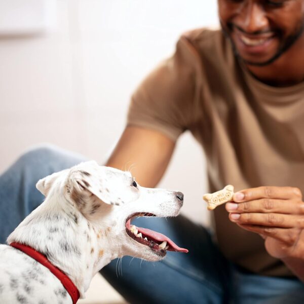 Milk-Bone Original Dog Treats Biscuits for Medium Dogs, - Image 2