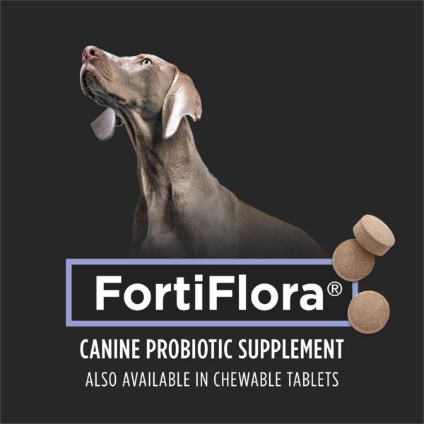 Purina Pro Plan Veterinary Supplements FortiFlora - Image 4