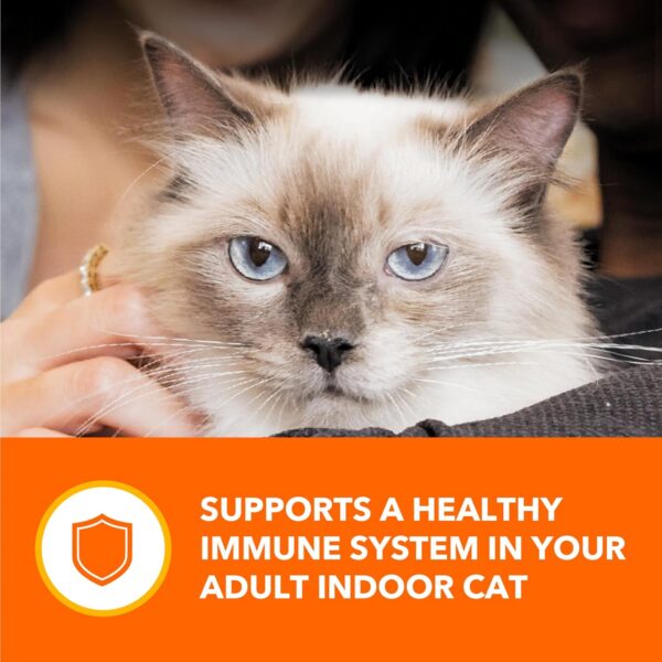 IAMS PERFECT PORTIONS Indoor Adult Grain Free - Image 3